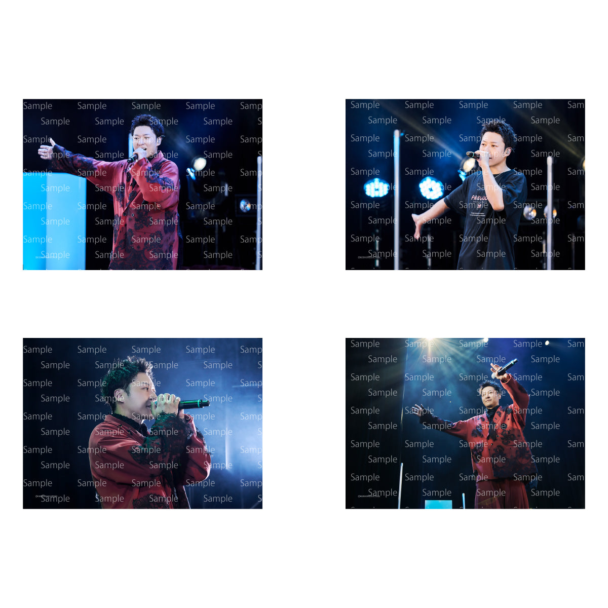 Lead LIVEグッズ、非売品グッズ まとめ売り Lead – RISINGPRODUCTION オンラインショップ