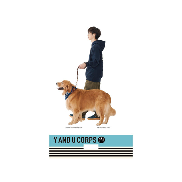 YORI/U-YEAH「Y&U vol.4 ～豊作の秋～」アクリルスタンド (YORI&GOLDENver.)